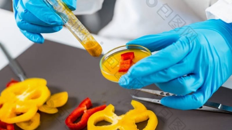 食品招商平台：揭秘成功案例背后的逻辑